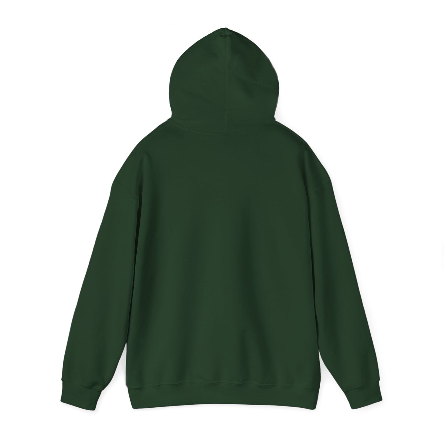 Unisex Hooded Sweatshirt - 'Israel Between The River & The Sea'