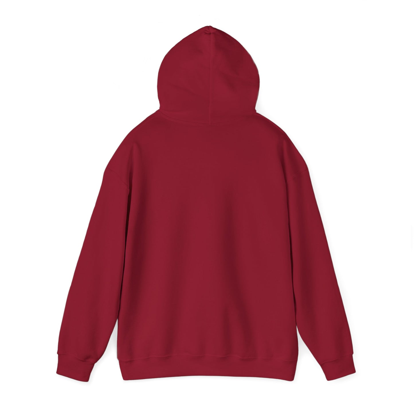 Unisex Hooded Sweatshirt - 'Israel Between The River & The Sea'