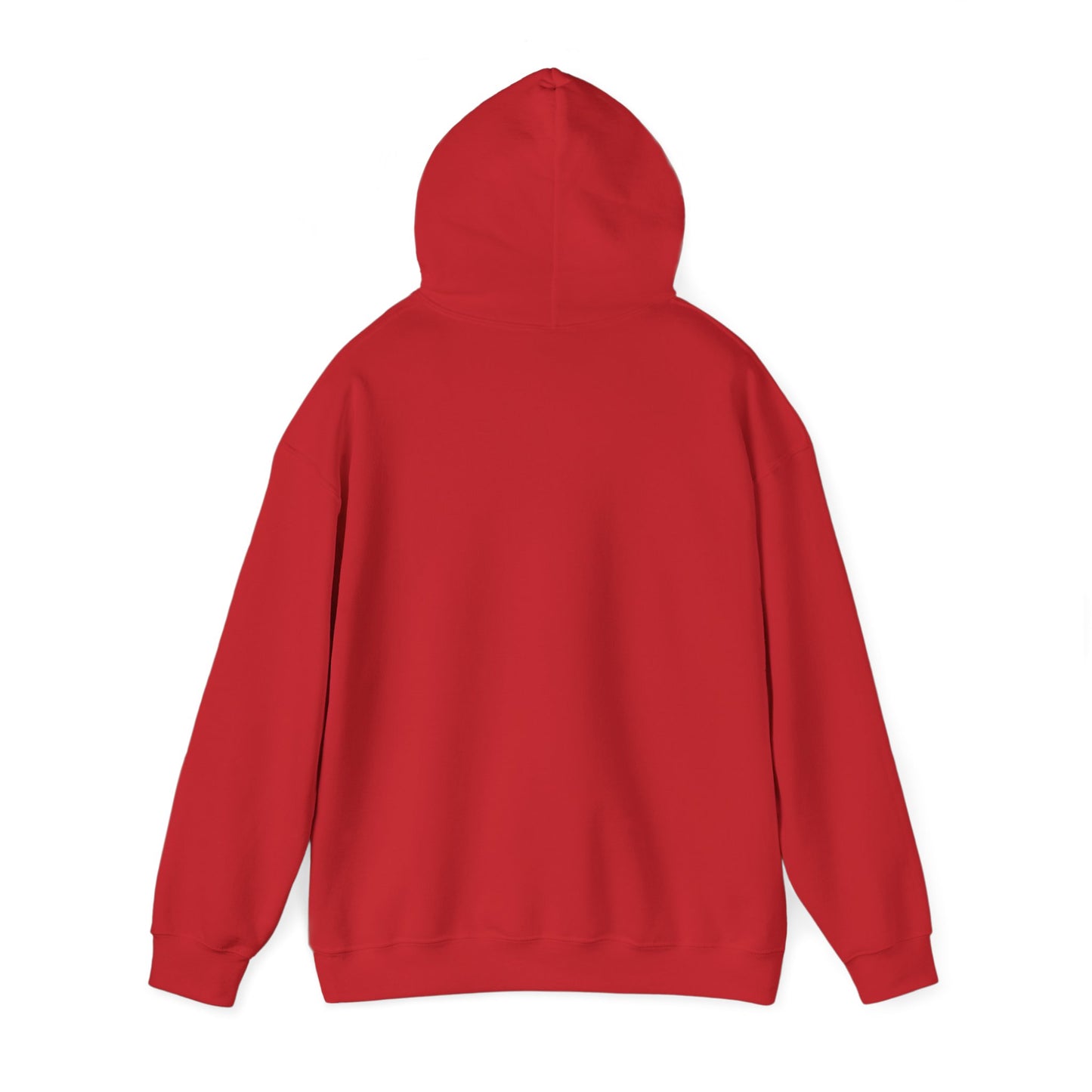 Unisex Hooded Sweatshirt - 'Israel Between The River & The Sea'