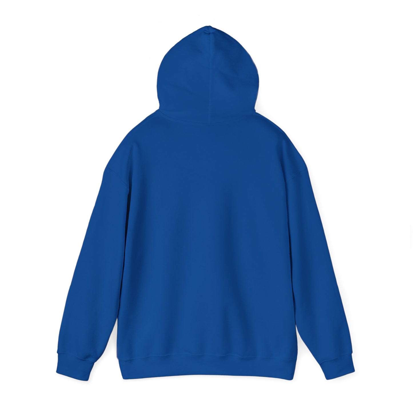 Unisex Hooded Sweatshirt - 'Israel Between The River & The Sea'