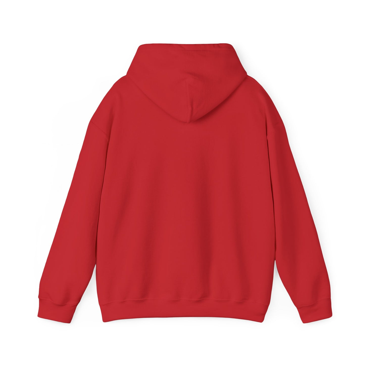 Unisex Hooded Sweatshirt - 'Israel Between The River & The Sea'
