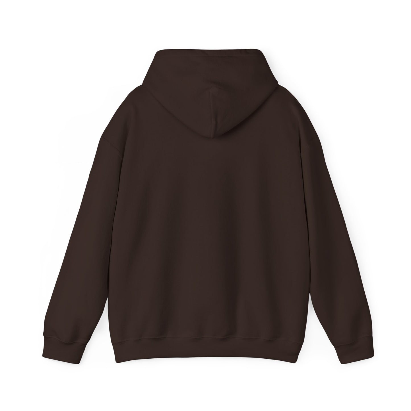 Unisex Hooded Sweatshirt - 'Israel Between The River & The Sea'