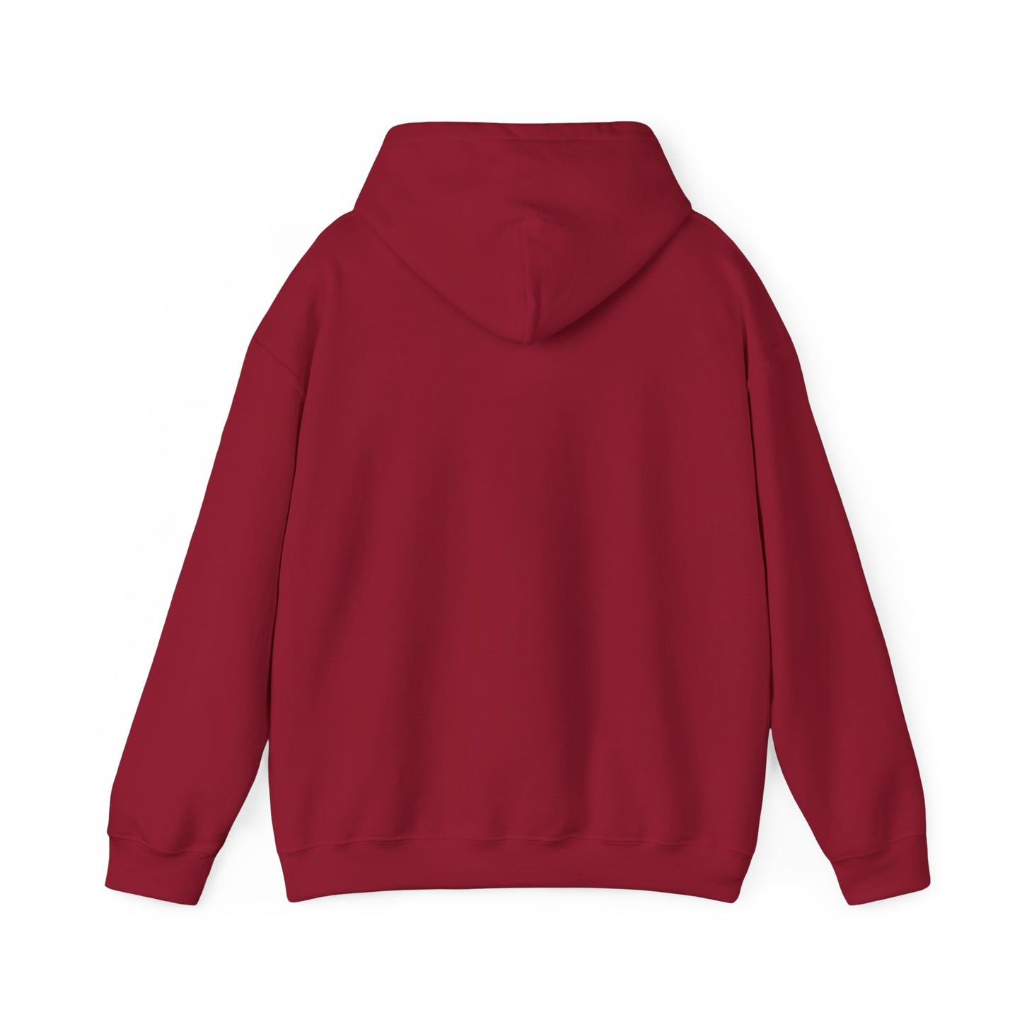 Unisex Hooded Sweatshirt - 'Israel Between The River & The Sea'