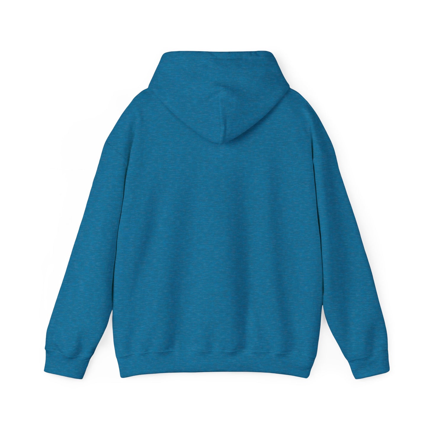 Unisex Hooded Sweatshirt - 'Israel Between The River & The Sea'