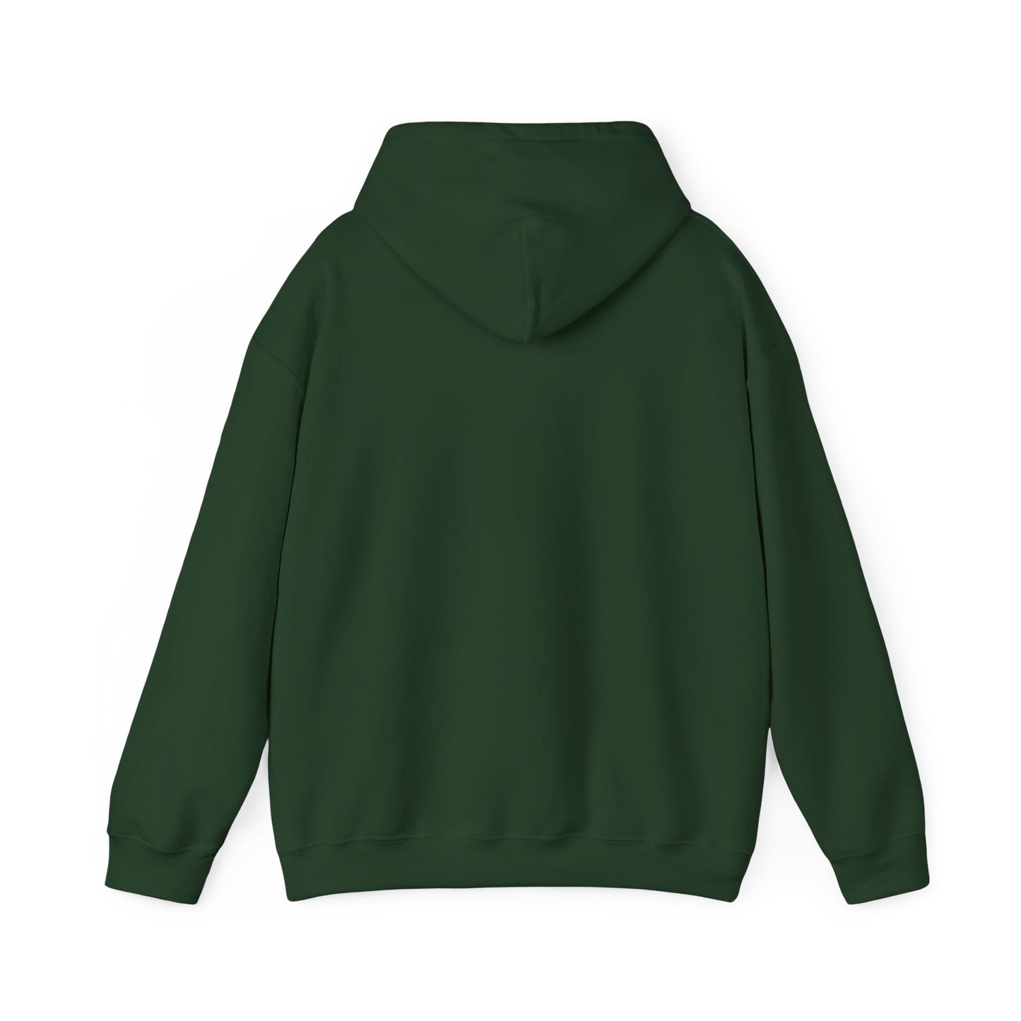 Unisex Hooded Sweatshirt - 'Israel Between The River & The Sea'