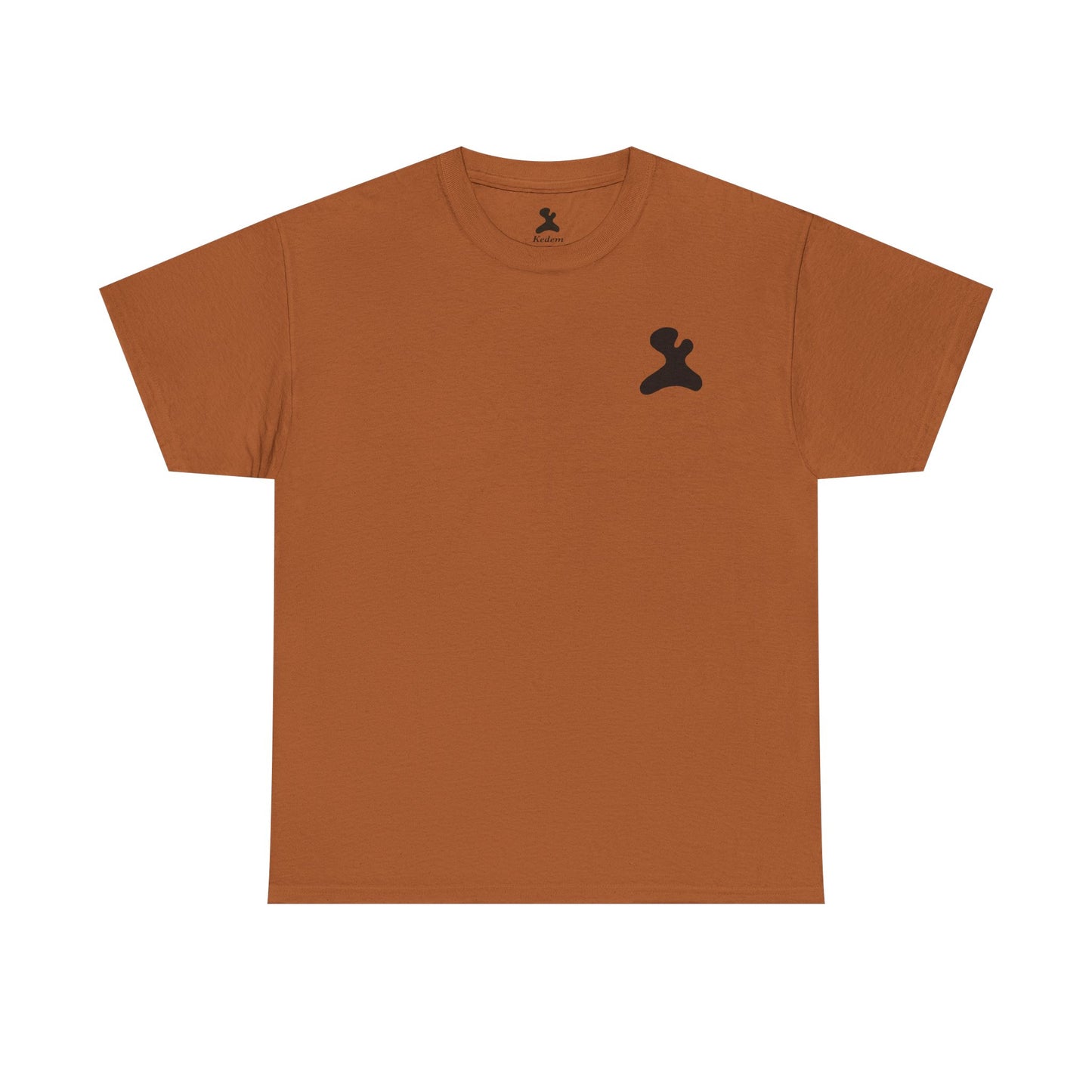 Unisex Heavy Cotton T-Shirt - Made in Kedem logo, Casual Wear, Everyday Outfit, Eco-Friendly Gift, Comfortable Apparel.