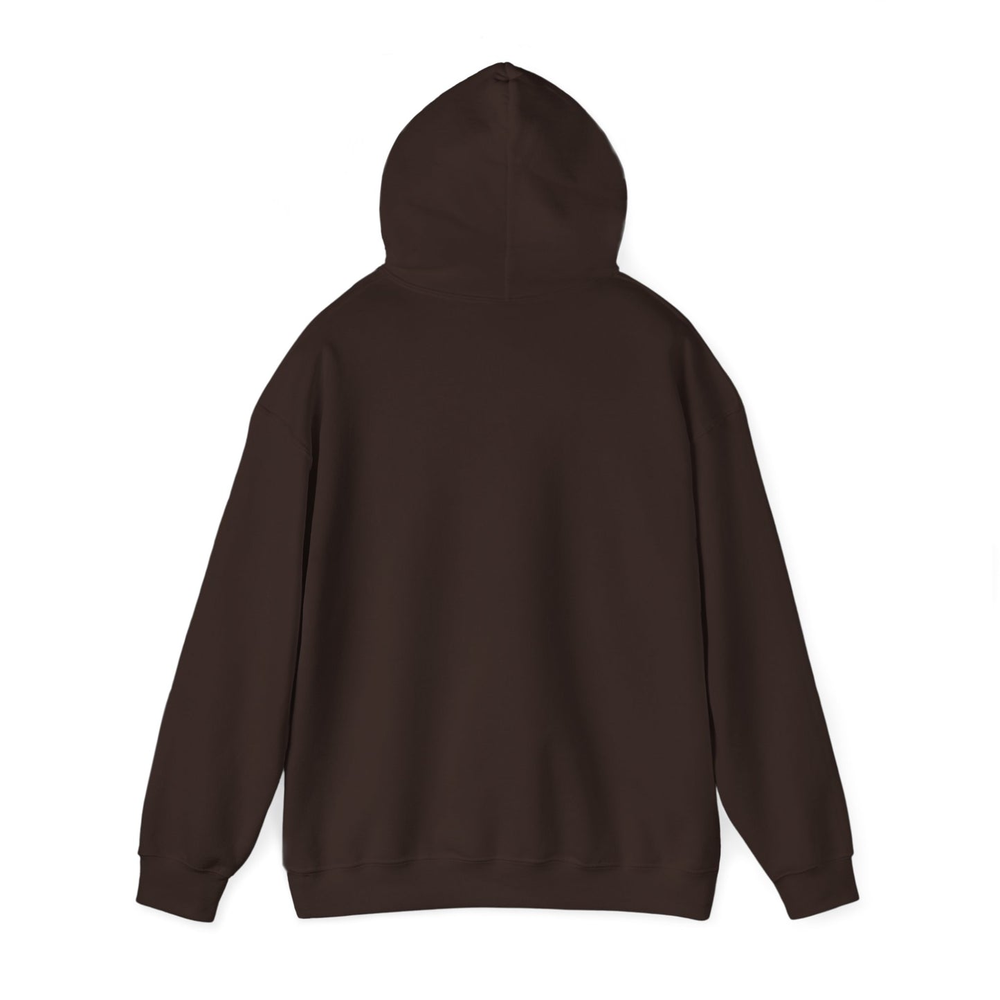 Unisex Hooded Sweatshirt - 'Israel Between The River & The Sea'