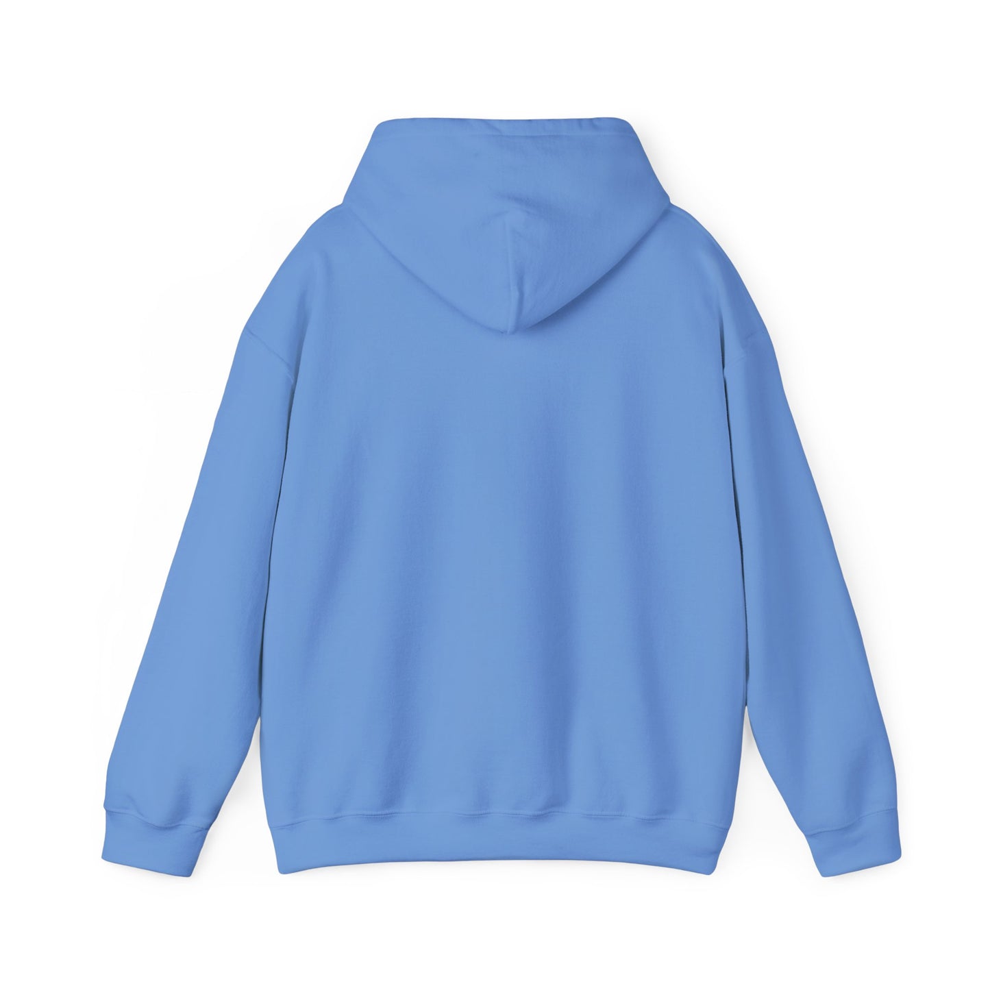 Unisex Hooded Sweatshirt - 'Israel Between The River & The Sea'