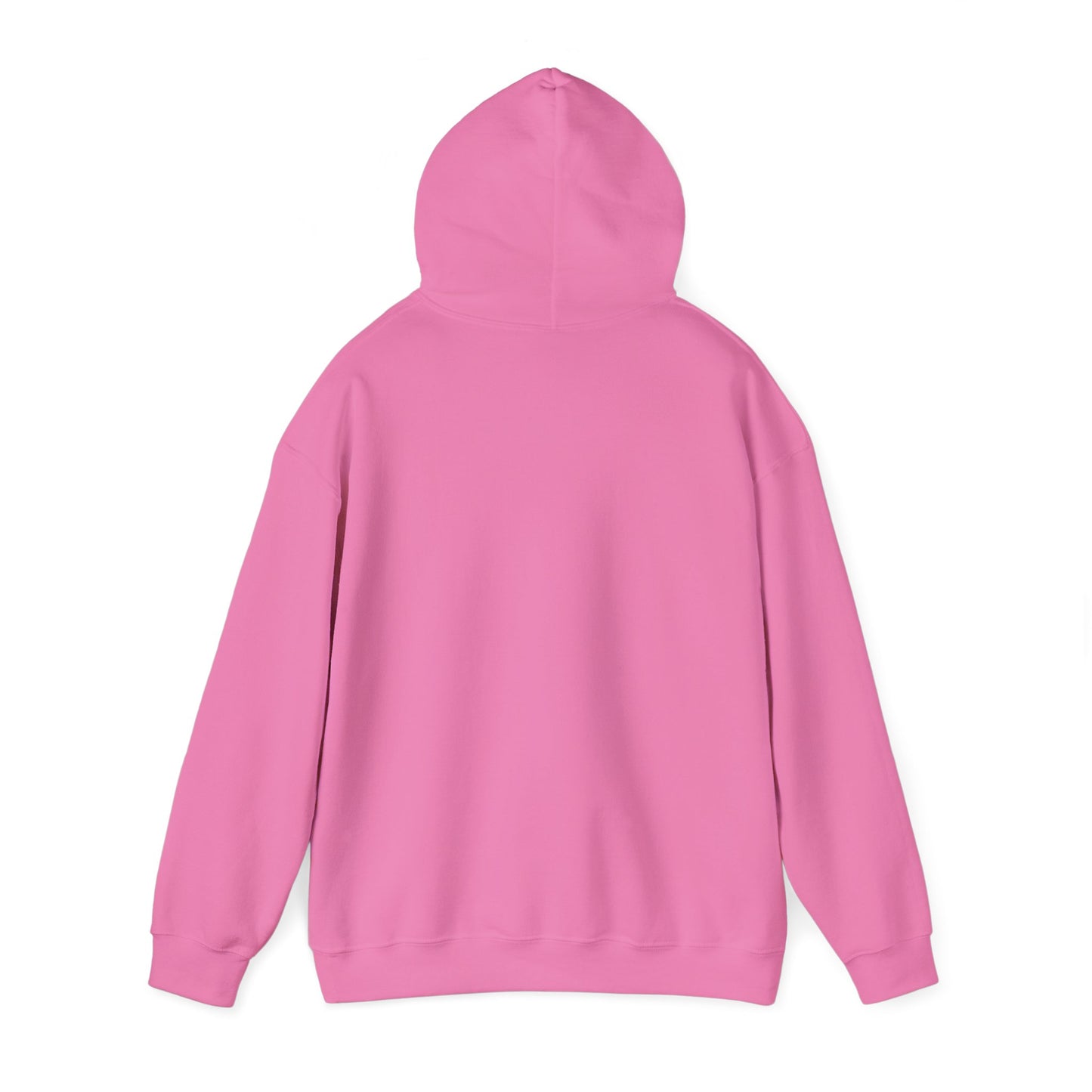 Unisex Hooded Sweatshirt - 'Israel Between The River & The Sea'