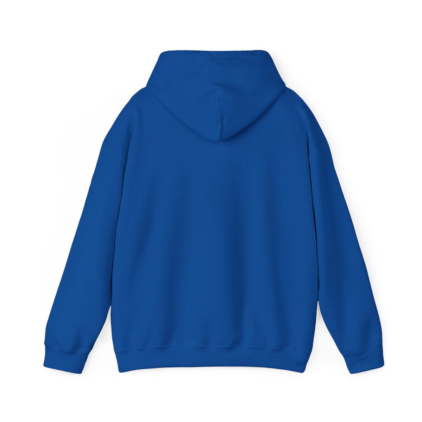 Unisex Hooded Sweatshirt - 'Israel Between The River & The Sea'