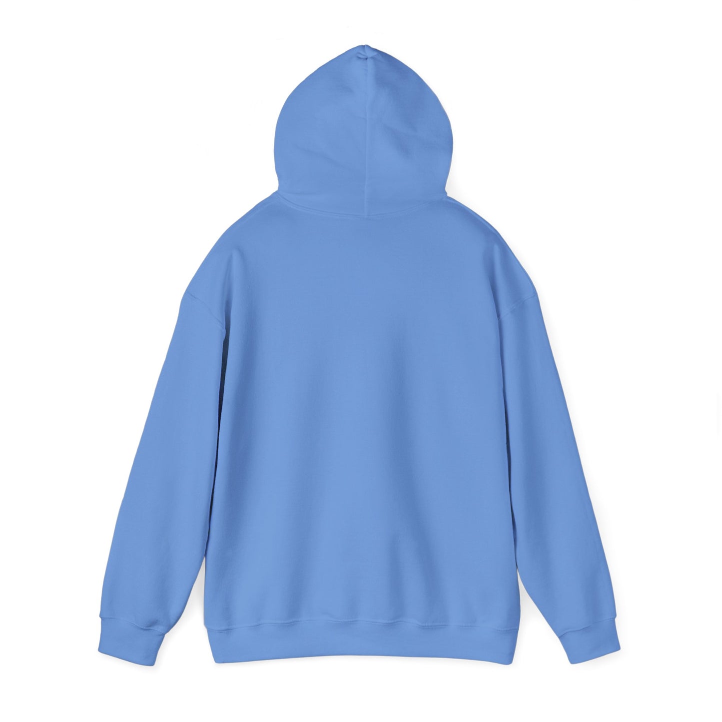 Unisex Hooded Sweatshirt - 'Israel Between The River & The Sea'