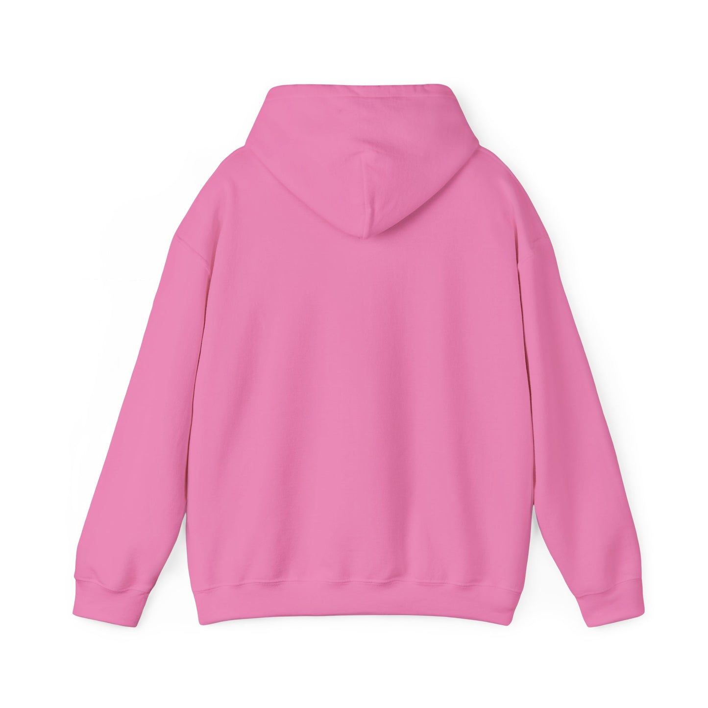 Unisex Hooded Sweatshirt - 'Israel Between The River & The Sea'