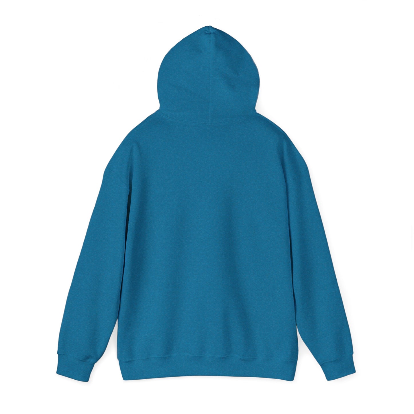Unisex Hooded Sweatshirt - 'Israel Between The River & The Sea'